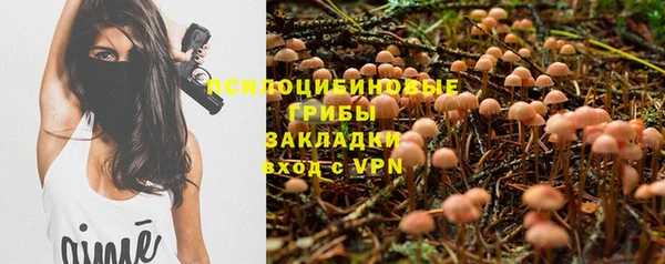 а пвп мука Аркадак